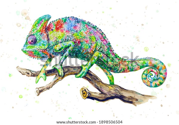 3,651 Watercolor Chameleon Images, Stock Photos & Vectors | Shutterstock