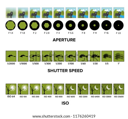 Cheat Sheet shutter speed, aperture, ISO