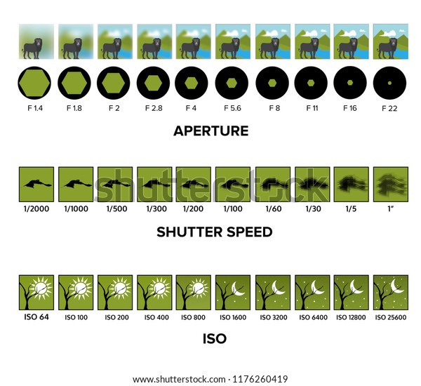 Aperture Shutter Speed Iso Cheat Sheet 1261