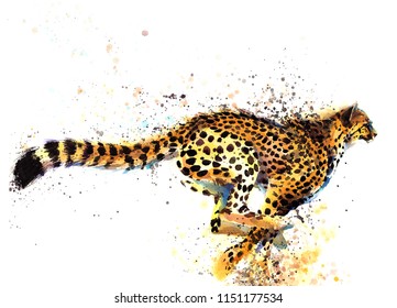 Cheetah Hand Drawn Watercolor Illustration