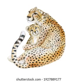 Cheetah. Mom And Baby.  Wild Cat Islated On White Background. Watercolor. Cheetah Cub. Illustration. Template. Hand Drawing. Motherhood, Childhood