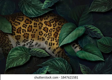 Cheetah On A Leafy Background