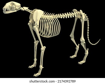 5,128 Skeleton friends Images, Stock Photos & Vectors | Shutterstock