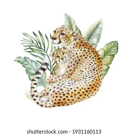 Cheetah With Tropical Plants. Mom And Baby.  Wild Cat Islated On White Background. Watercolor. Cheetah Cub. Illustration. Template. Hand Drawing. Motherhood, Childhood