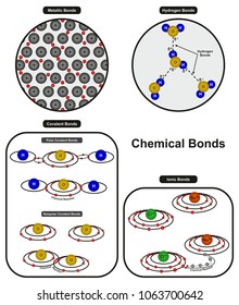 where does metal ion bonding occur