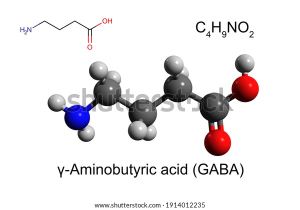Chemical formula, skeletal formula and 3D\
ball-and-stick model of γ-Aminobutyric acid, a chief inhibitory\
neurotransmitter in the mammalian central nervous system, white\
background