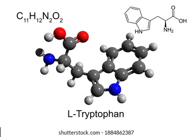トリプトファン の画像 写真素材 ベクター画像 Shutterstock