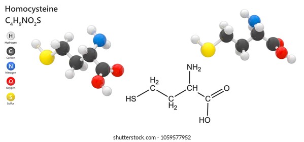 Chemical Structure Homocysteine Hcy Amino Acid Stock Illustration ...