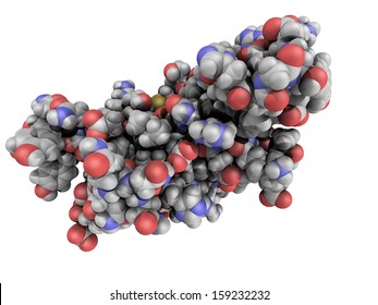 Chemical Structure Of A Human Prion Protein Molecule (hPrP). HPrP Is Associated With Transmissible Spongiform Encephalopathies, Including Creutzfeldt-Jacob Disease.