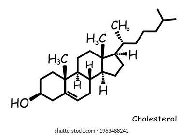 Chemical Structure Icon Template: Cholesterol