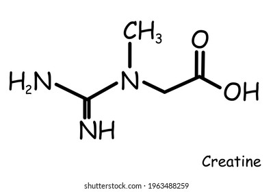 190 Creatine molecule Images, Stock Photos & Vectors | Shutterstock