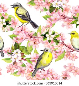 Cherry blossom (apple, sakura flowers) and birds. Floral seamless pattern. Watercolor