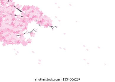 Cherry Blossom Branches Illustration Hand Drawn Stock Illustration ...