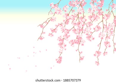 桜 背景 ぼかし のイラスト素材 画像 ベクター画像 Shutterstock