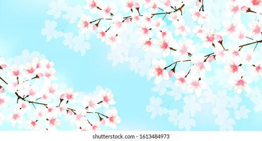 Cherry Blossom Spring Flowers Background Stock Illustration 1613484973