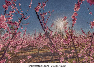 Cherry Blossom Tree With Field Background In Digital Oil Painting