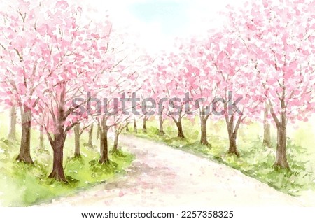 Similar – Image, Stock Photo cherry blossoms Pink