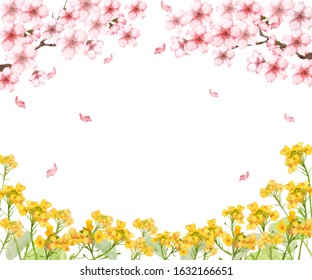 菜の花 桜 のイラスト素材 画像 ベクター画像 Shutterstock