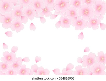 Cherry Blossoms White Background Stock Illustration 354816908 ...