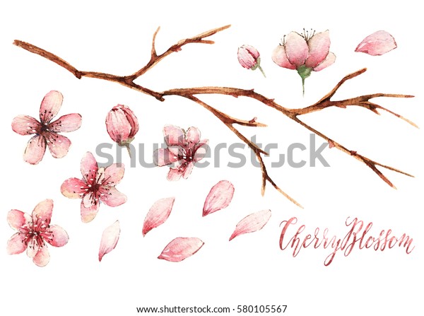 桜 水彩の春のイラスト カード 手作り 異なるエレメント 花びら 小枝 つぼみ 花 のイラスト素材