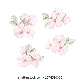 Cherry Flower Design Elements Handpainted Watercolours Stock ...