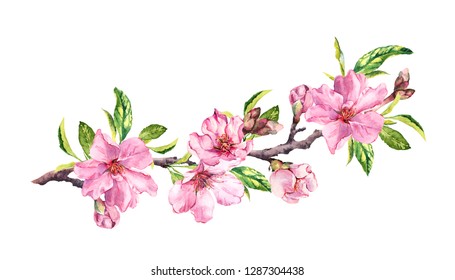 64,335 Watercolour blossom Images, Stock Photos & Vectors | Shutterstock