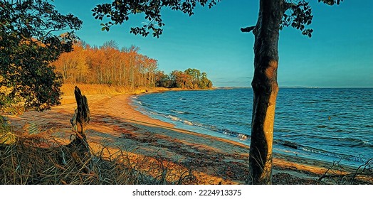 Chesapeake Bay Shoreline View In Autumn, Illustration 