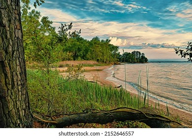 Chesapeake Bay Shoreline View, Illustration 