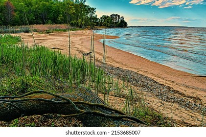 Chesapeake Bay Shoreline View, Illustration 