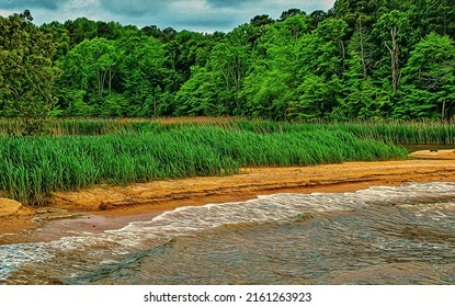 Chesapeake Bay Shoreline View, Illustration 