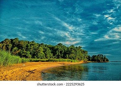 Chesapeake Bay Shoreline View, Illustration 