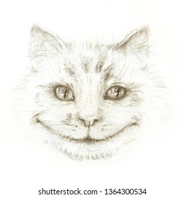 Cheshire cat smiles. Illustration for "Alice in Wonderland". Pencil drawing illustration on white background.