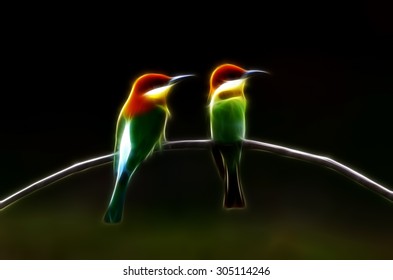 Chestnut headed Bee eater Merops leschenaulti Fractalius