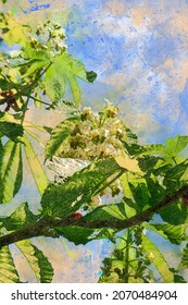 The Chestnut Tree Blossoms In Spring. Chestnut Tree Is The Symbol Of The Capital Of Ukraine, The City Of Kiev. Tree Branches Against The Blue Sky.  Digital Watercolor Painting.