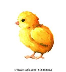 6,874 Chick watercolor Images, Stock Photos & Vectors | Shutterstock