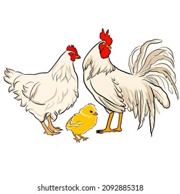 Chicken Hen Rooster Family Cartoon Illustration Stock Illustration ...