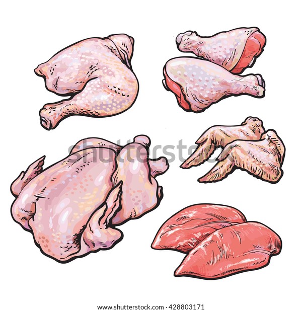 Chicken Meat Set Handdrawn Sketch Types Stock Illustration 428803171