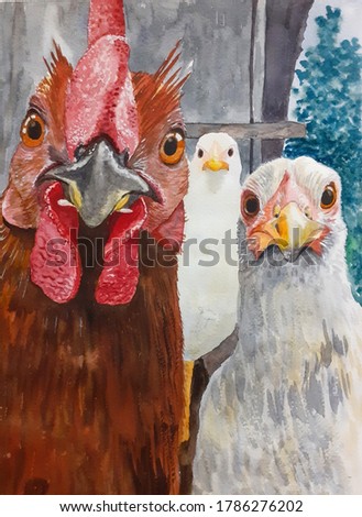 Chicken portrait in full face. Watercolor. A funny illustration. Hand-drawn. Painted. Three hens look at the camera.
