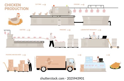 Chicken Production Process Stages Illustration. Cartoon Automated Processing Factory Line With Workers And Conveyor Machines Producing, Sorting, Packaging Farm Chicken Poultry Meat Products