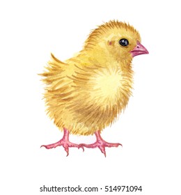 6,874 Chick watercolor Images, Stock Photos & Vectors | Shutterstock