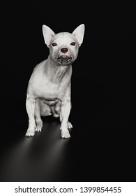 Chihuahua Dog Looking Confused While Sitting 3d Rendering