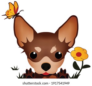 パピヨン 犬 のイラスト素材 画像 ベクター画像 Shutterstock