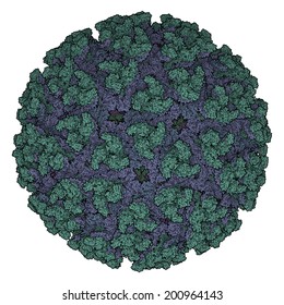 Chikungunya Virus. Causes Chikungunya Disease. Transmitted By Aedes Mosquitoes. Atomic-level Structure.