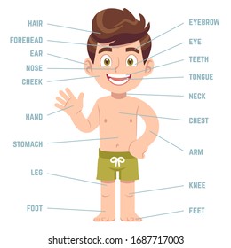 Child body parts. Boy with eye, nose and mouth, hair, ear and callouts with english words cartoon preschool education human bodies health anatomy diagram