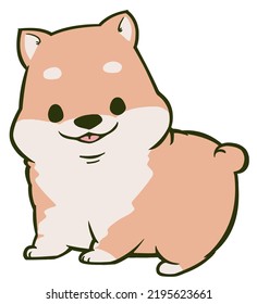A Child Of A Smiling Shiba Inu Staring At You