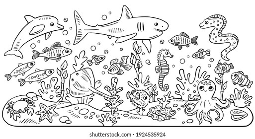 海洋動物を使った子ども向けの塗り絵 イルカ サメ 水上馬 様々な魚 カニ ヒトデ スロープ のイラスト素材