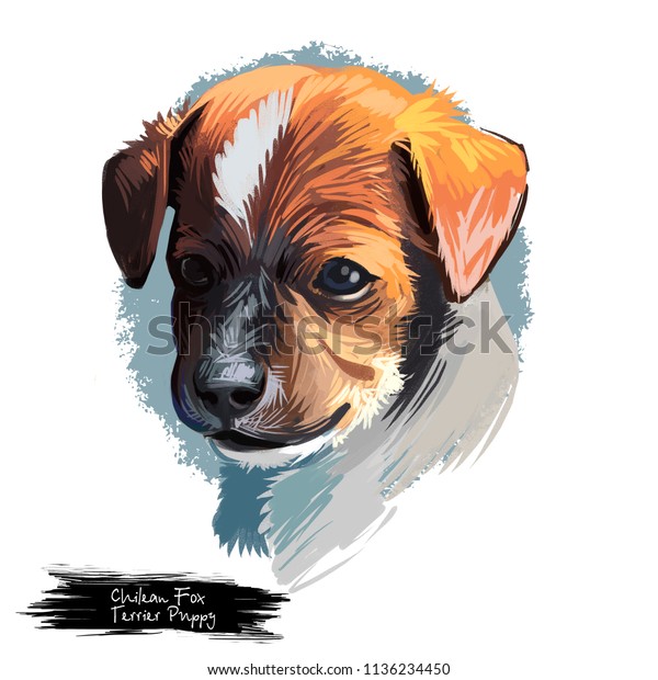 Chilean Fox Terrier Puppy Pet Chile Stock Illustration 1136234450