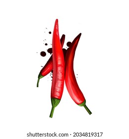 Chili or Chilli pepper isolated on white background. Organic healthy food. Red vegetable. Hand drawn plant closeup. Clip art illustration. Graphic design element. Digital illustration hand drawn
