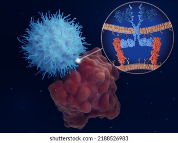 Chimeric Antigen Receptor (CAR) Therapy: Engineered Natural Killer Cell Attacks A Cancer Cell. 3d Rendering