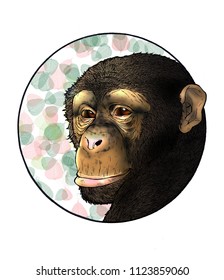 Chimp head design